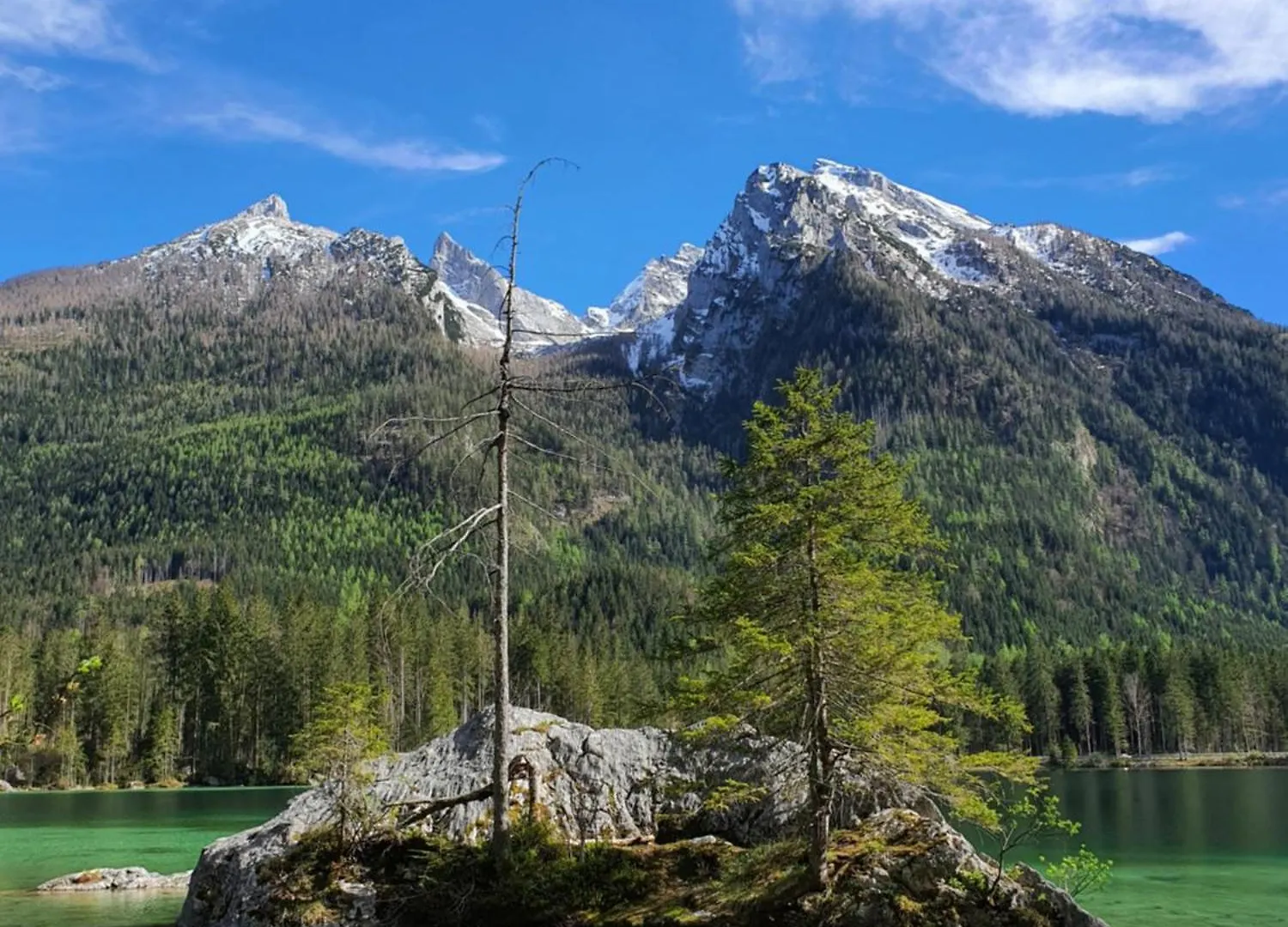 Appartamento Ferienwohnung Staufenblick Piding